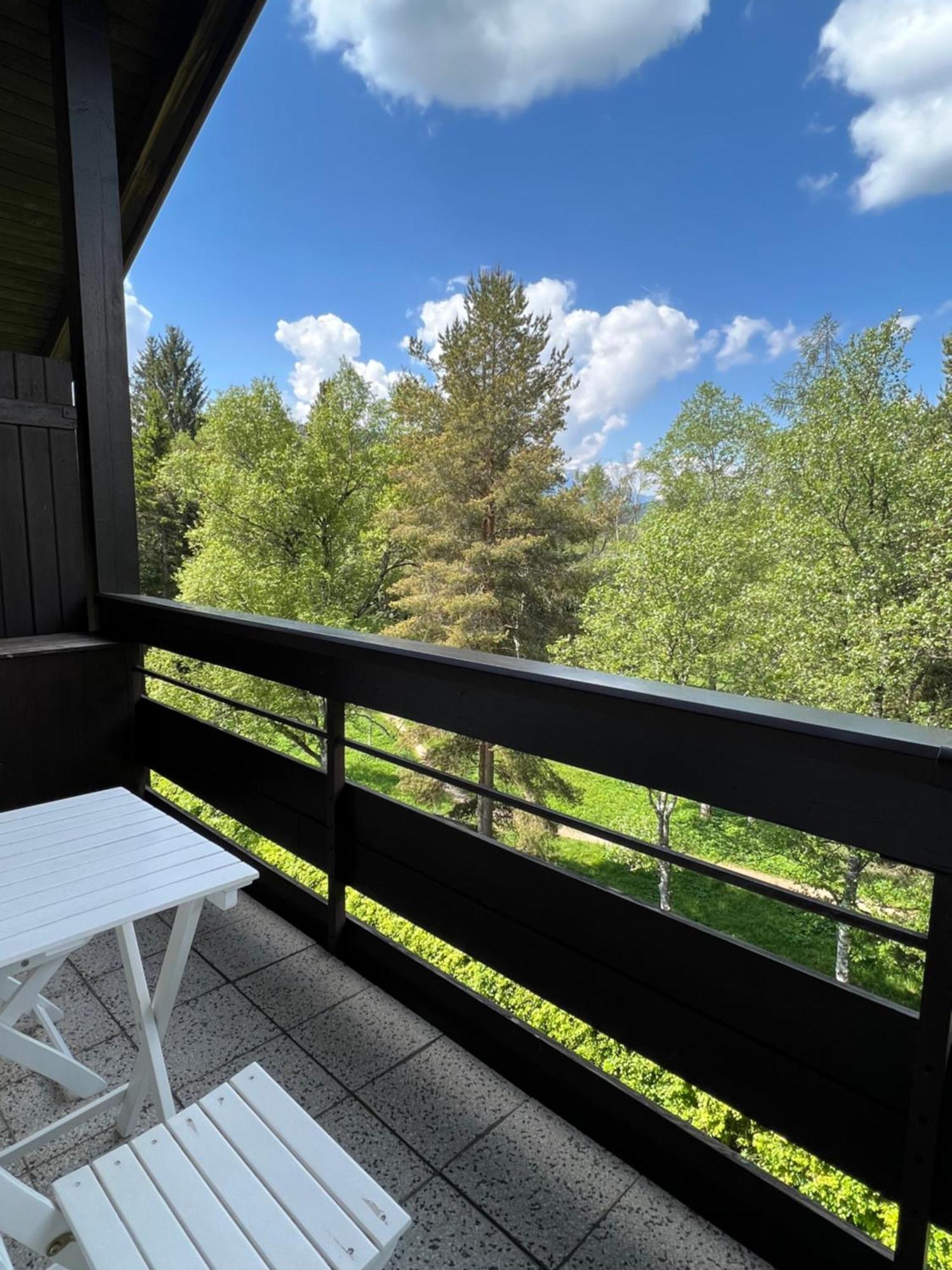 Appartementhaus Birkenwald Seefeld in Tirol Bagian luar foto