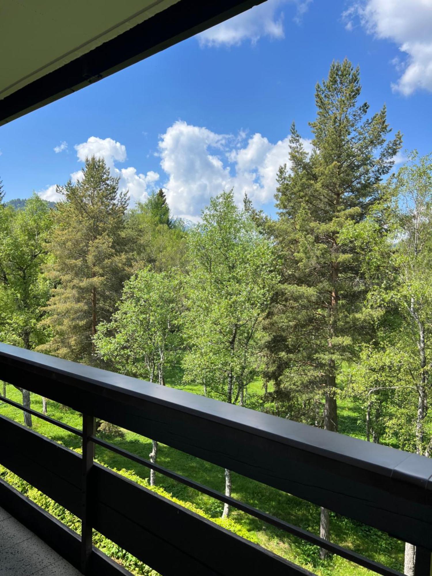 Appartementhaus Birkenwald Seefeld in Tirol Bagian luar foto